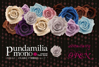 pundamilia mono