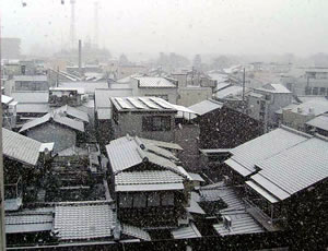 snow2006.jpg